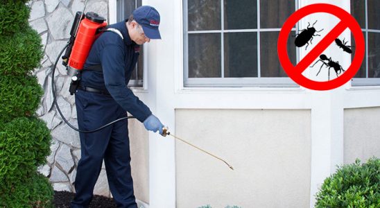 Aşkale Dezenfeksiyon böcek ilaçlama ve haşere kontrolü — ilaclama-tr.com